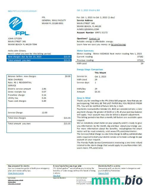 USA Florida FPL elektryczność rachunek za media Word i PDF formaty, Wersja 2